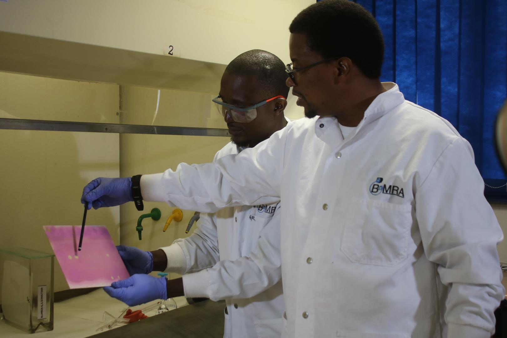 Building regulatory laboratory capacity