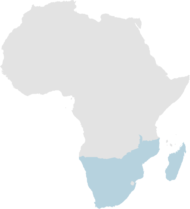 Map of the eight Southern African countries taking part in the Pandemic Fund initiative