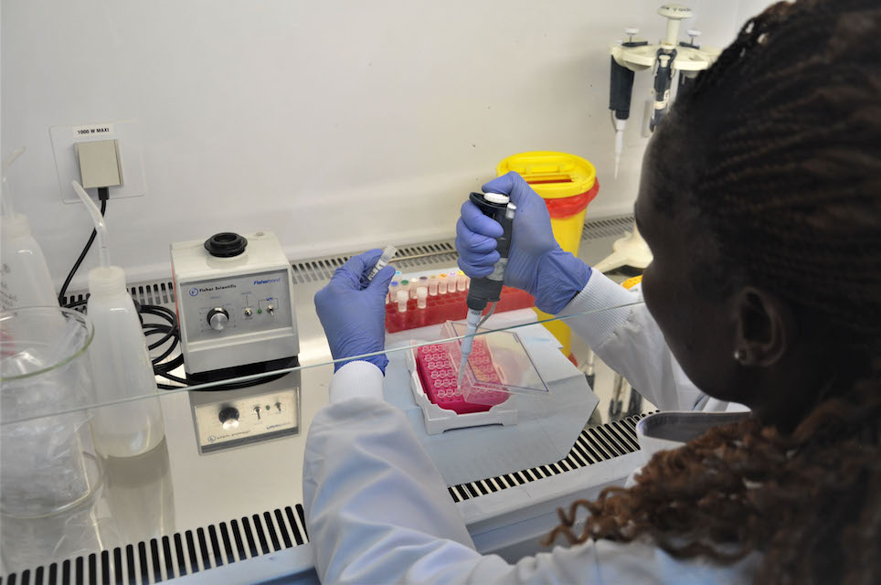 A laboratory technologist at the Kenya Medical Research Institute Laboratory prepares samples for the final stage of testing for polioviruses called intratypic differentiation which determines whether a virus is a vaccine virus, vaccine-derived poliovirus or wild poliovirus ©WHO/L.Dore​​​​