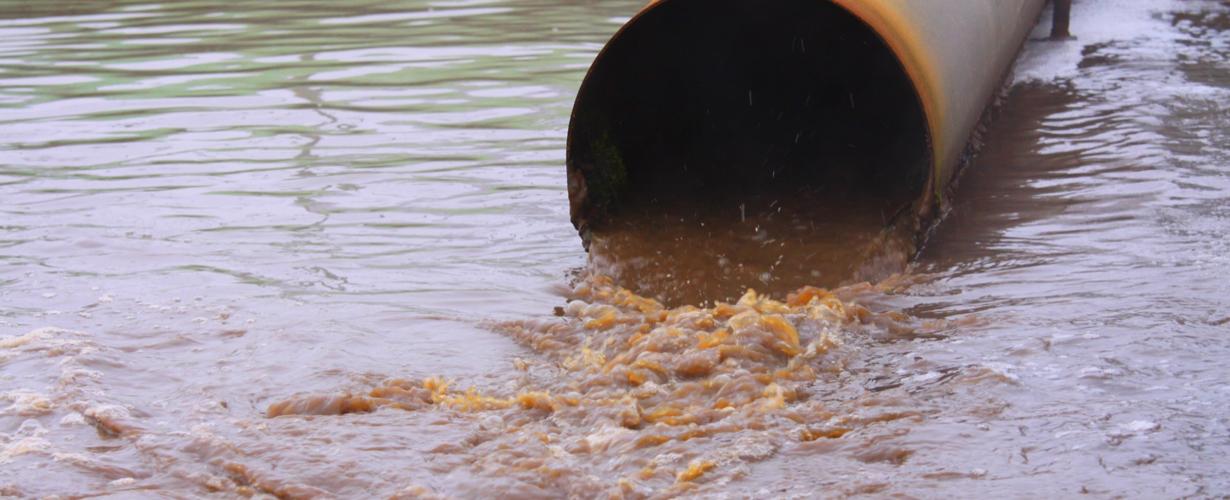 typhoid-fever-who-regional-office-for-africa