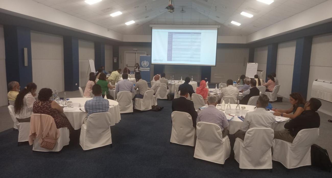 National public health risk profiling workshop using the Strategic Toolkit for Assessing Risks (STAR) in February 2023 in Mauritius