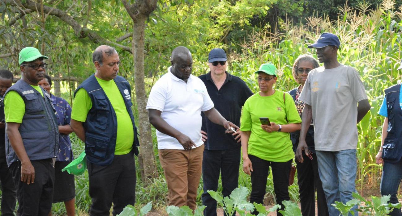 Tony Kidiga, focal point for Tobacco Free Farms, Ministry of agriculture, speaks about good practices to WHO visiting team at a farmer's in Migori County