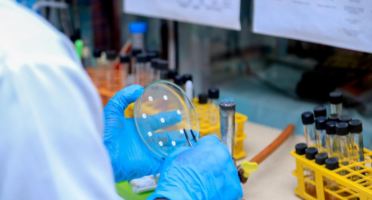 La République Démocratique du Congo renforce la réponse à l'épidémie du charbon 