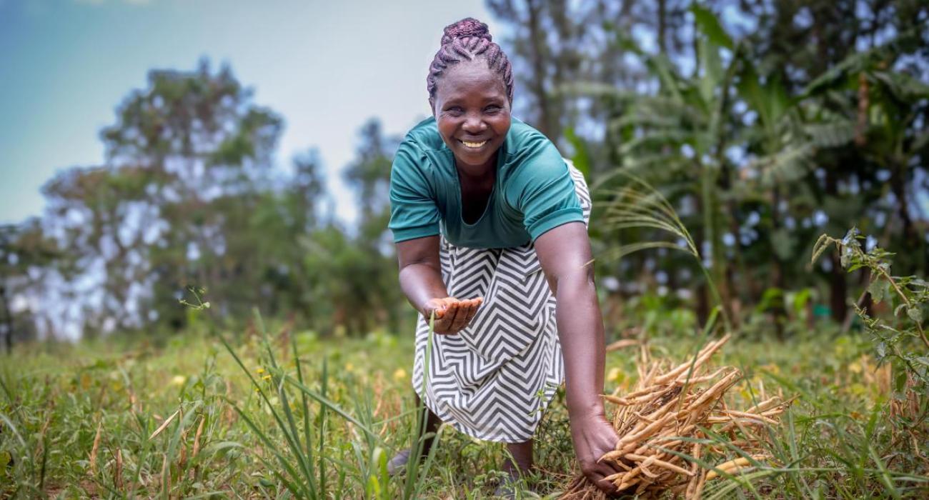 Improving the quality of life of former tobacco farmers in Kenya
