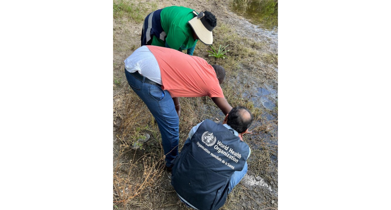 Dr Pandey (right) WHO technical officer for tropical vector-borne diseases, and a team exploring the breeding grounds of mosquitoes