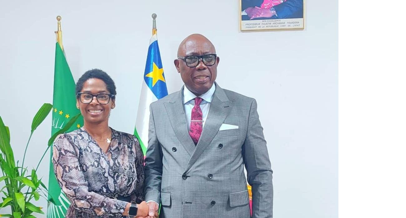 Rencontre périodique entre le Premier Ministre, Chef du Gouvernement et la Représentante de l’OMS en République centrafricaine