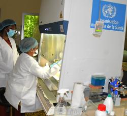 Au Labo de l'INRAPE Comores