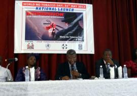 01 The Deputy Minister launching WNTD 2012