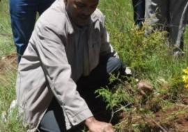 State Minister of Health, Dr Kebede Worku, planting a tree at the Heritage Trust site.