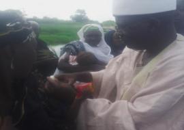 Vaccination at Kaduna-Kano Border