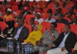 The fourth Ethiopian HIV/AIDS Prevention Summit drew attention to the concerning rise in HIV prevalence in the region.