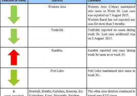 Presentation of cases by district