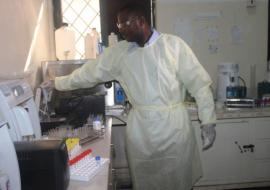 Testing samples in the specialized laboratory