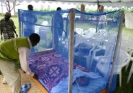 WHO calls for “final push” towards accelerated malaria control and eventual elimination in Africa