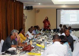 Atelier-CNP-PNDS-Zongo-March-2015