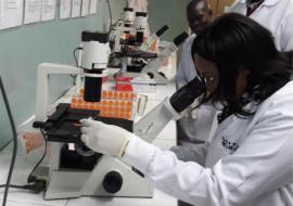 Dr Gumede-Moeletsi at the Ibadan Lab.