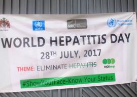 Commemoration of World Hepatitis Day 