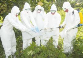 WHO supports containment of rare virus on Uganda-Kenya border WHO supports containment of rare virus on Uganda-Kenya border