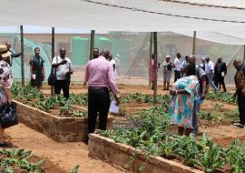 Guidance and Counselling teacher explaining elevatated vegetable garden plots Guidance and Counselling teacher explaining elevatated vegetable garden plots