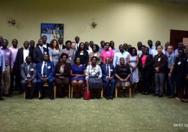 Ministry of Health and Partners at the meeting 