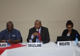 Eswatini National Malaria Programme manager chairing the meeting