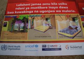 Malaria control campaign launched in Democratic Republic of the Congo to save lives and aid Ebola response