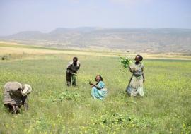 Scaling up investments in health and environment initiatives in Africa