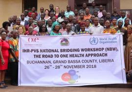 Group photo of participants at the IHR-PVS National Bridging Workshop in Buchanan City, Grand Bassa County