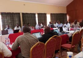Cross section of participants