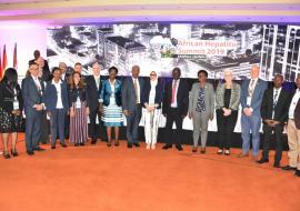 High level delegation at the Hepatitis Summer High level delegation at the Hepatitis Summit