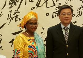 Dr Diallo et M. Chao