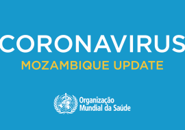 COVID-19 Mozambique Updates COVID-19 Mozambique Updates
