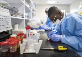 Pooling samples boosts Ghana’s COVID-19 testing