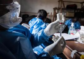 L'OMS demande un accès équitable aux futurs vaccins de COVID-19 en Afrique
