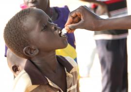 Over 63 280 individuals aged one year and above vaccinated against cholera