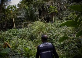 Resurgence of Ebola in North Kivu in the Democratic Republic of the Congo