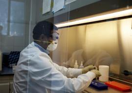 Genome sequencing in Ebola response