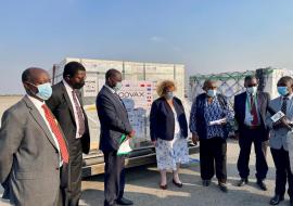 Zimbabwe receives nearly one million COVID-19 vaccine doses from COVAX