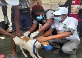Launching the vaccination of 10,000 dogs and cats as part of the World Rabies Day 2021 Commemoration