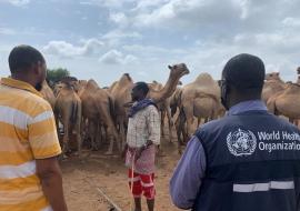 Dr Adam Haji and Wajir County team, access nomadic communities for Covid-19 vaccination in north-eastern Kenya Dr Adam Haji, WHO, and Wajir County team, access nomadic communities for Covid-19 vaccination in north-eastern Kenya recently