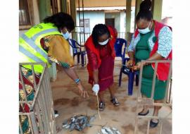 Vector control in Edo state