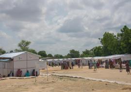 WHO releases more than US$ 8 million for the Sahel’s humanitarian response 