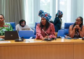 WHO, UNV programme launch second phase of Africa Women Health Champions initiative