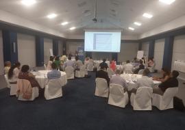 National public health risk profiling workshop using the Strategic Toolkit for Assessing Risks (STAR) in February 2023 in Mauritius