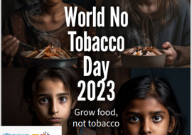 World No Tobacco Day 2023 Report cover