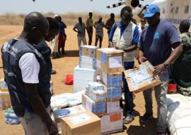 Combatting disease threats among people fleeing the Sudan conflict 
