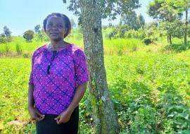 Switch away from tobacco an economic, health boon for Kenyan farmers