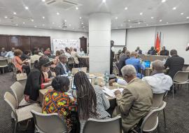 WHO collaborates in the JEE, involving 13 assessors and a team of over 60 specialists WHO collaborates in the JEE, involving 13 assessors and a team of over 60 specialists