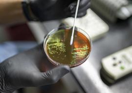 The Gambia launches national plan to tackle antimicrobial resistance