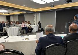 Training of Trainers on Integrated Care for Older People (ICOPE) - Mauritius, Oct 2023